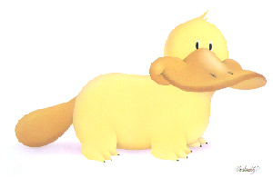 Ornithorynque