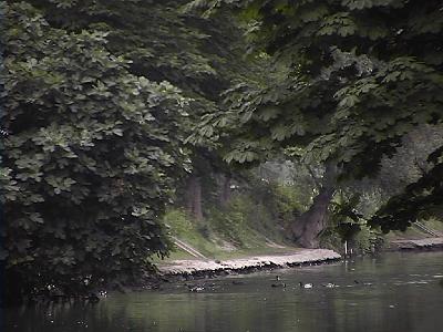 Photo-11 