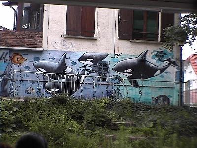 Photo-12 