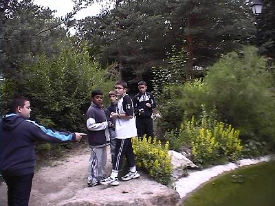 Photo-138 