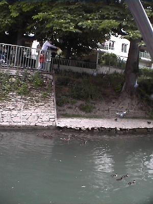 Photo-14 