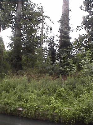 Photo-30 