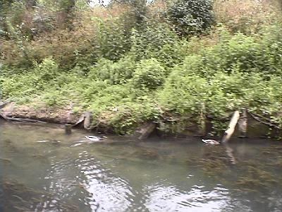Photo-31 