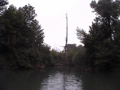 Photo-36 