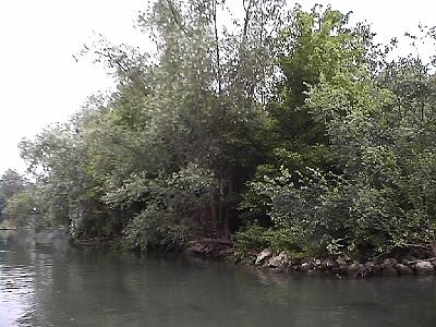 Photo-53 