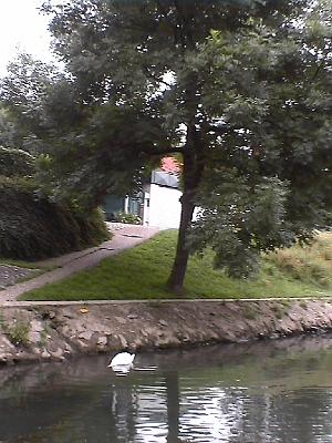 Photo-58 