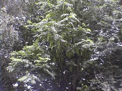 Photo-63 
