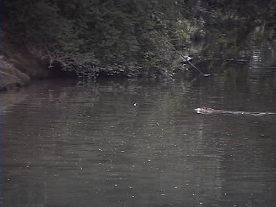Photo-76 