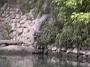 Photo-13 