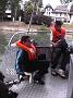 Photo-139 Cours de pilotage.