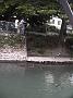 Photo-14 