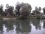 Photo-42 
