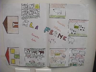 Photo-1 
