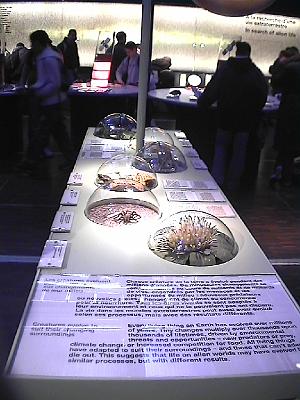 Photo-32 