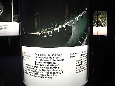 Photo-45 
