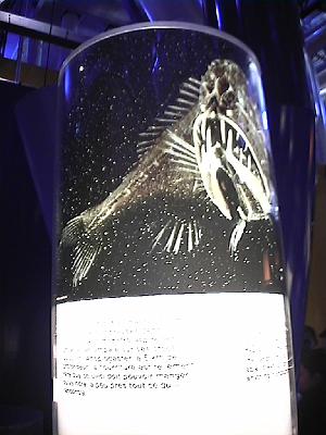 Photo-47 