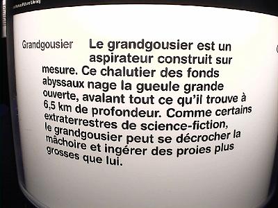 Photo-50 