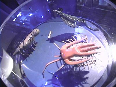 Photo-53 