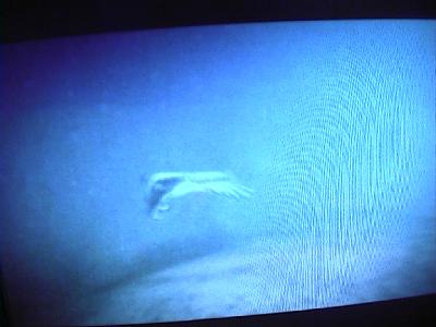 Photo-55 