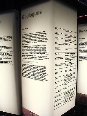 Photo-71 