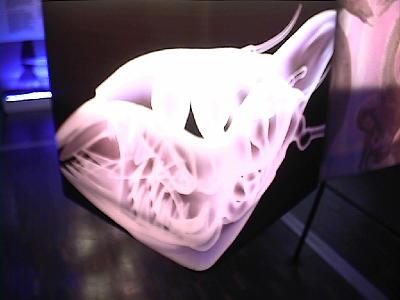 Photo-73 
