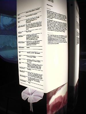 Photo-74 