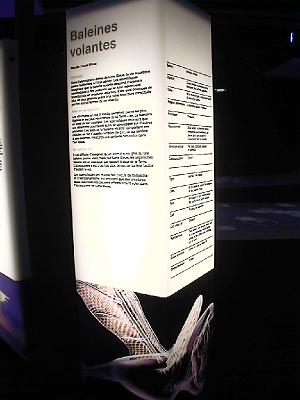 Photo-75 