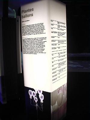 Photo-76 