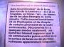 Photo-56 