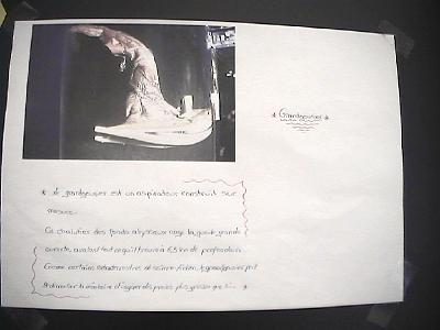Photo-11 