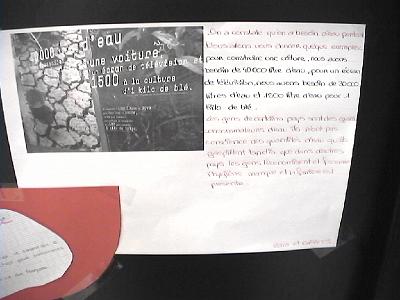 Photo-24 