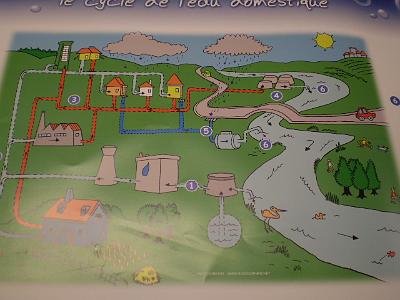 Photo-29 