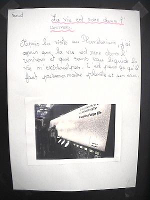 Photo-8 