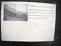Photo-12 