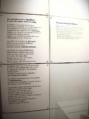Photo-157 