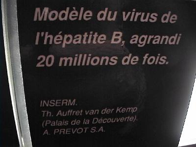 Photo-160 Les virus.