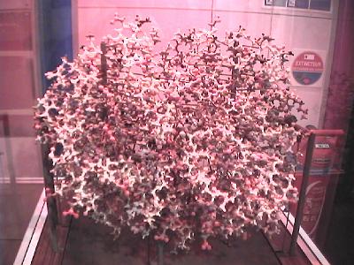 Photo-163 Molcule d'hmoglobine.