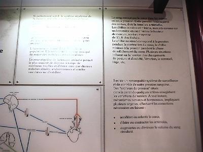 Photo-173 