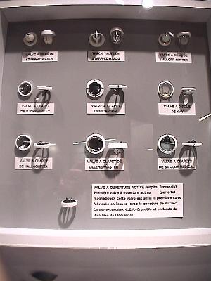 Photo-179 Les valves artificielles.