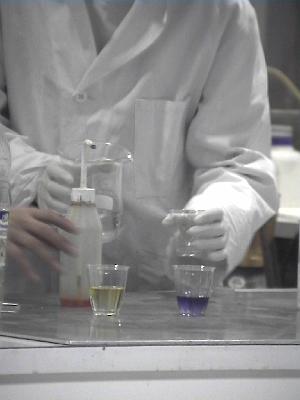 Photo-29 