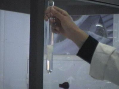 Photo-4 Mise en vidence des chlorures par le nitrate d'argent.