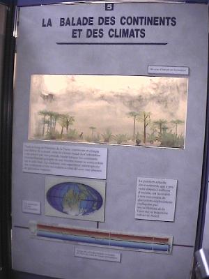 Photo-56 