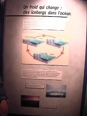 Photo-59 