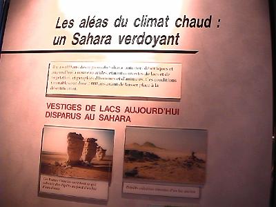 Photo-62 