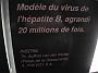 Photo-160 Les virus.